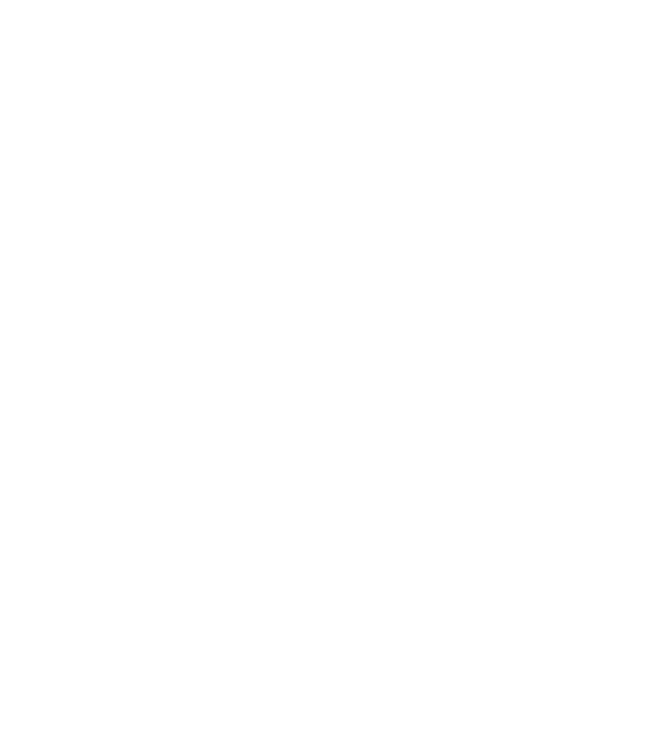 SOLUTION